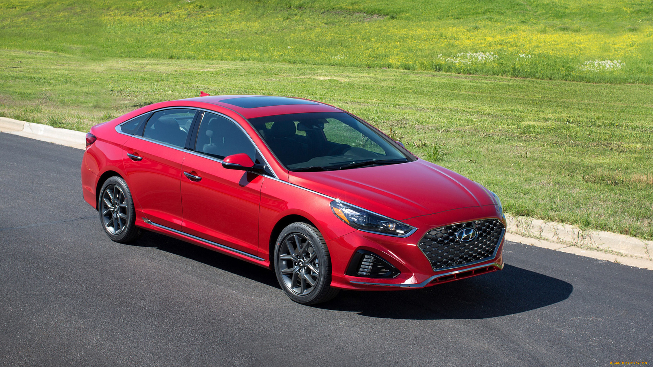 hyundai sonata 2-0t 2018, , hyundai, 2018, sonata, 2-0t